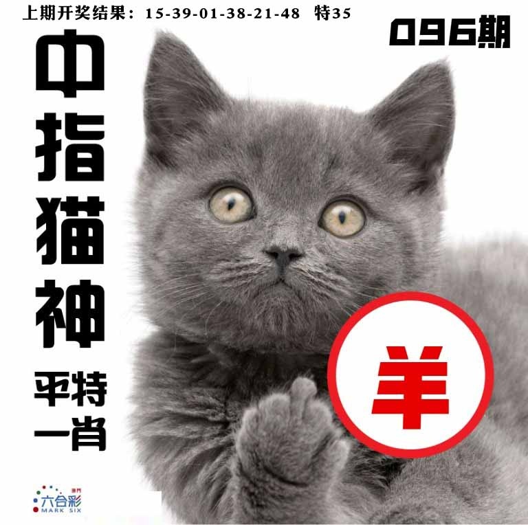 096期中指猫神[图]