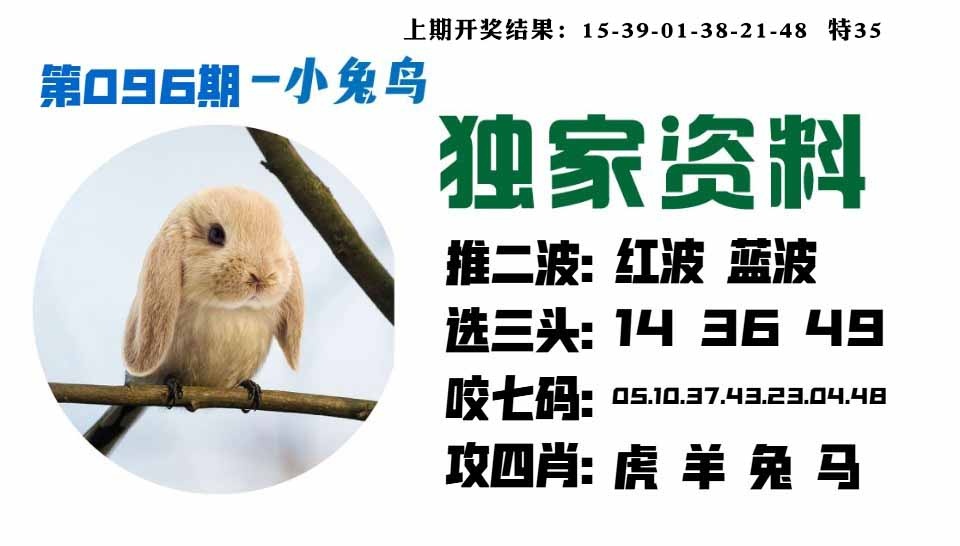 096期小兔鸟[图]